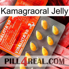 Kamagraoral Jelly new01